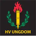 Home Guard Youth