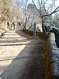 Approach to the castle ruins