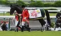 Wearing his winner's blanket after Kikuka-sho