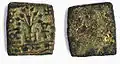 Eran Vidisha coin.
