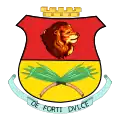 Official seal of Campo Elías Municipality