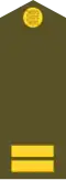 Nooremseersant (Estonian Ground Forces)[7]