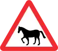 Animals for wild horses