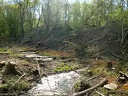 Fourchie pond