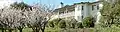 Springtime photograph of Tao House, perched on a hillside above blossoming orchard trees.