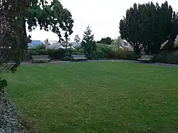 The garden