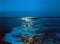 The night sea off the coast of the Dzhankhot