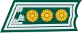 Colonel