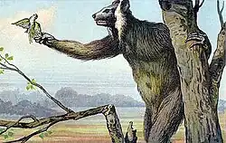 Inaccurate 1902 life restoration of M. madagascariensis