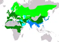 Widespread in Europe, Africa and Asia