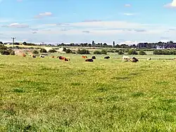 Farmland near Birch