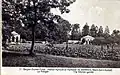 Vegetable garden of the Agricultural and Horticultural Institute of Bierbais.
