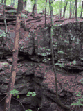 Fern Cave NWR