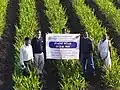 Field visit at Gaydhane Natural Farm located at Khairagaon village