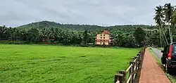 Fields of Verna near Udear Springs