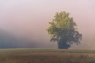 Agriculture in Brandywine Valley's First State National Historic Park