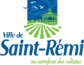 Flag of Saint-Rémi