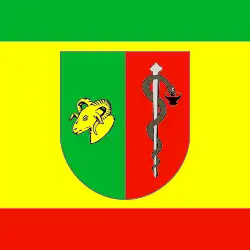 Flag of Yevpatoria