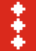 Flag of Ål Municipality