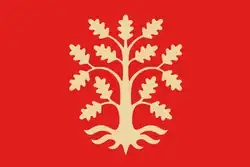 Flag of Agder