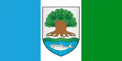 Flag of Astravyets district