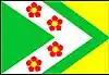 Flag of Březina