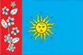 Flag of Barskyi Raion