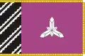 Flag of Borshchiv Raion