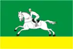Flag of Cherepanovsky District