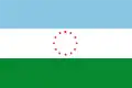 Flag of Ciénega