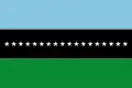 Flag of Cucunubá