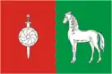 Flag of Dankovsky District