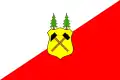 Flag of Dolní Dvůr