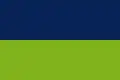 Flag of El Tarra