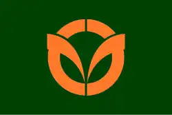 Flag of Ginan