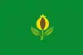 Flag of Granada