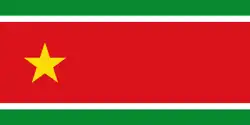 Flag used by the independence and the cultural movements