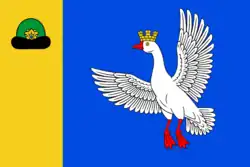 Flag of Gus-Zhelezny