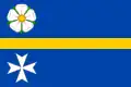 Flag of Hlinka