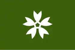 Iwakuni 岩国市