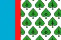 Flag of Jenišovice