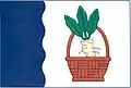 Flag of Křenek