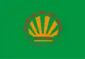 Flag of Kayyngdy