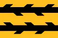 Flag of Kotlasy