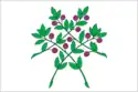 Flag of Krasnoslobodsk