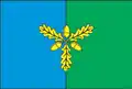 Flag of Krasyliv Raion