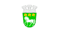 Flag of Krumovgrad