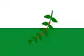 Flag of La Celia