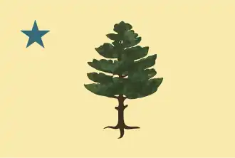 Flag of Maine (1901–1909)