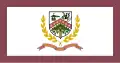 Flag of Marion County